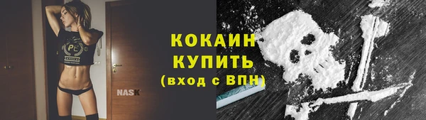 кокс Белокуриха