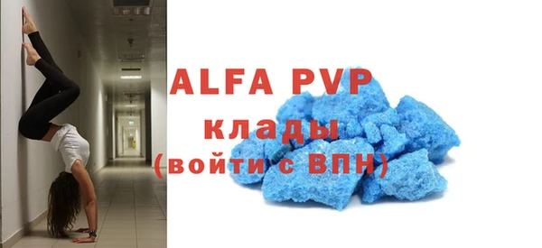 шишки Сосновый Бор