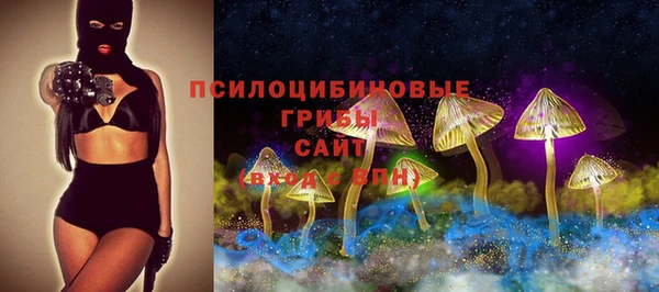 дурь Белоозёрский