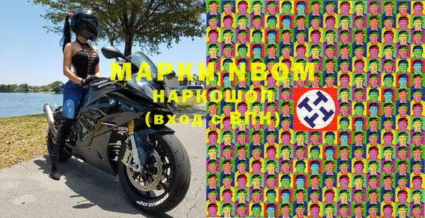 кокс Белокуриха