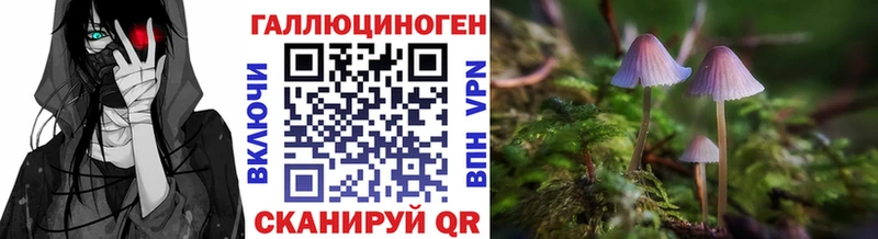 дарнет шоп  Шахты  Псилоцибиновые грибы GOLDEN TEACHER 